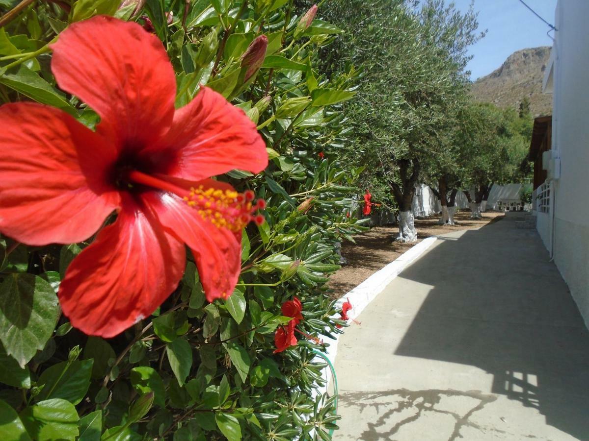 Leros Eleonas Apartments Álinda Kültér fotó